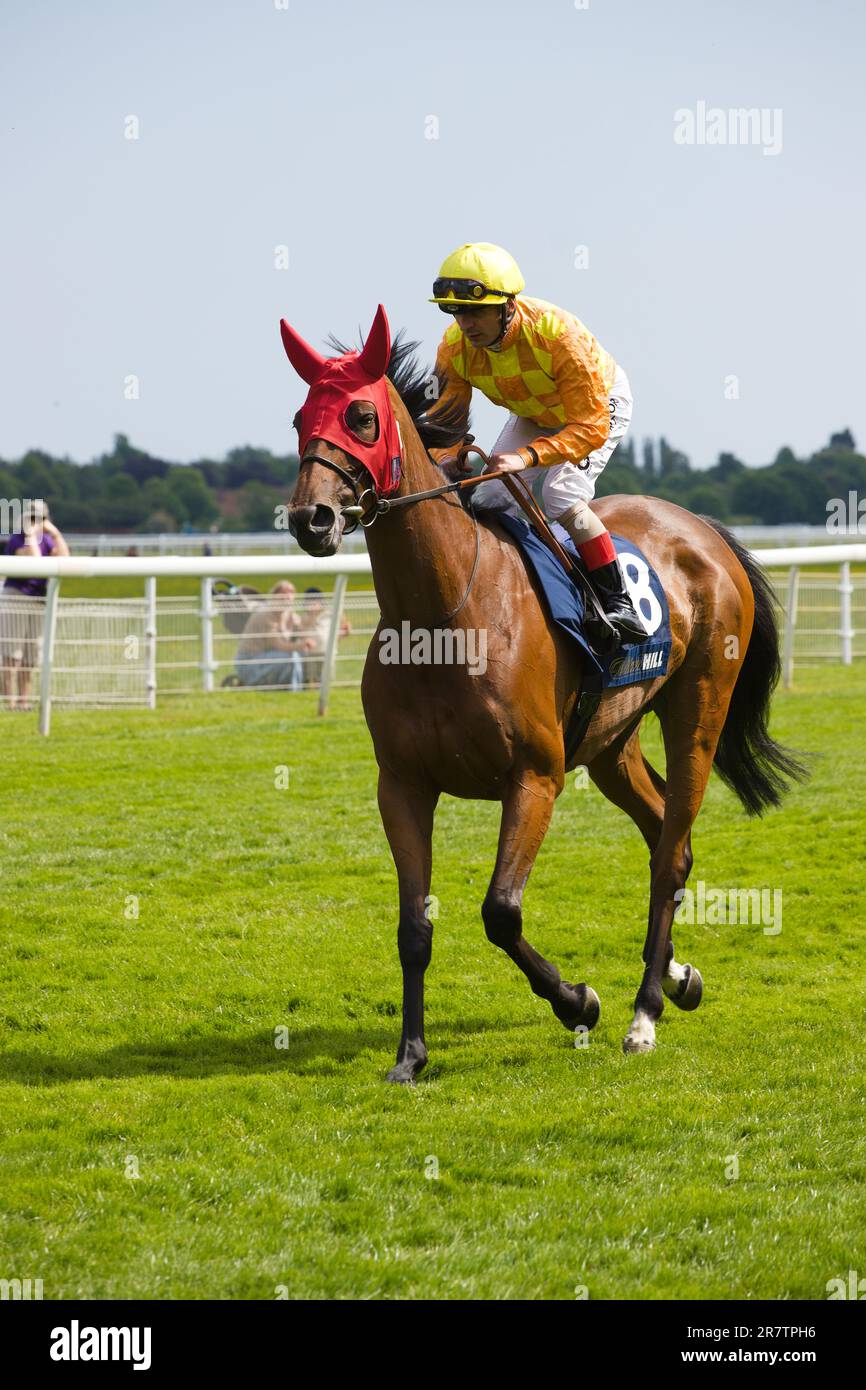 Jockey Andrea Atzeni sur Voodoo Queen à l'hippodrome de York. Banque D'Images