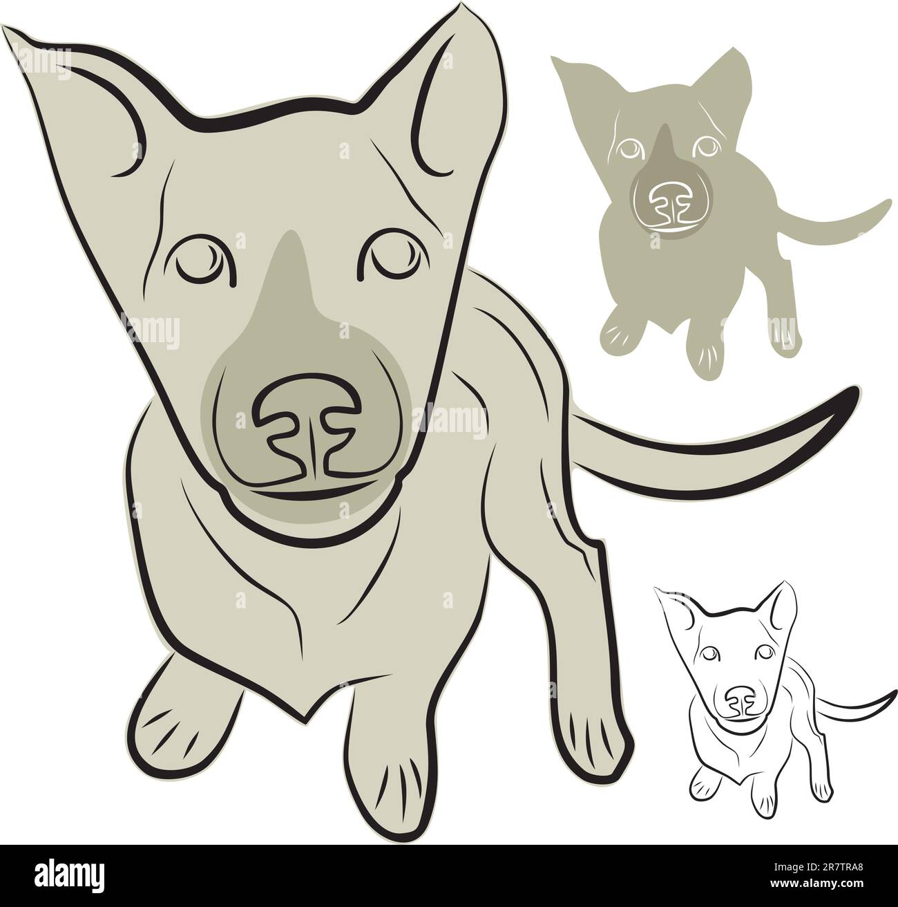 Un chiot avec une vue dédiée. PET, animal domestique, illustration vectorielle Illustration de Vecteur