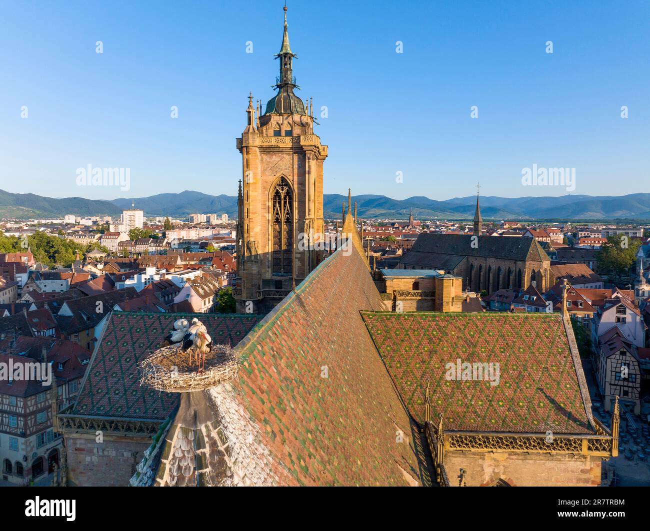 Photographie aérienne de l'église Saint-Martin - Eglise Saint-Martin, église à Colmar, dans le Haut-Rhin, Alsace, France Banque D'Images