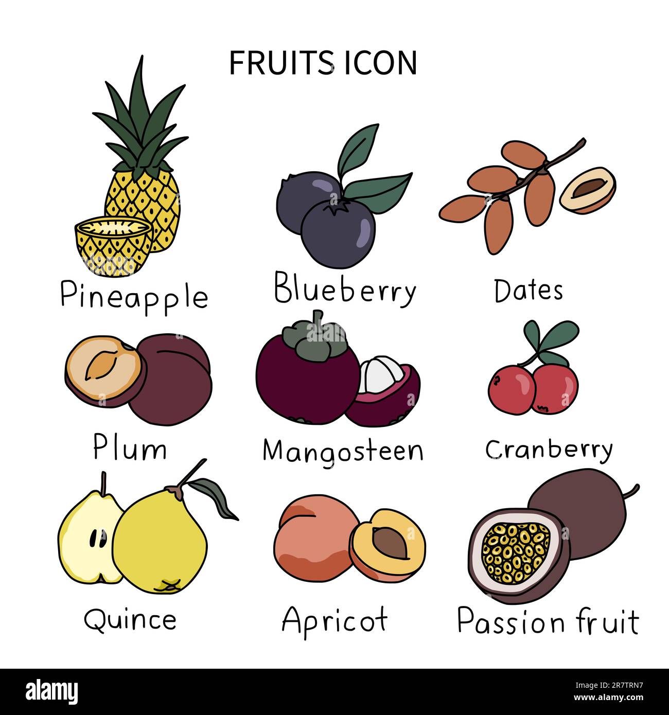 Ensemble d'illustrations vectorielles icône fruits 4 Illustration de Vecteur