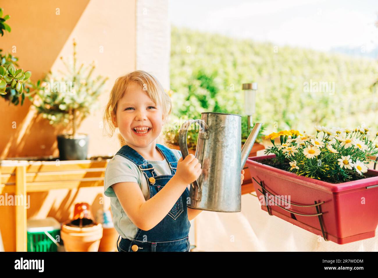 Adorable fille de 3-4 ans arroser des fleurs de Marguerite jaune sur balcon ensoleillé, activités pour les enfants Banque D'Images