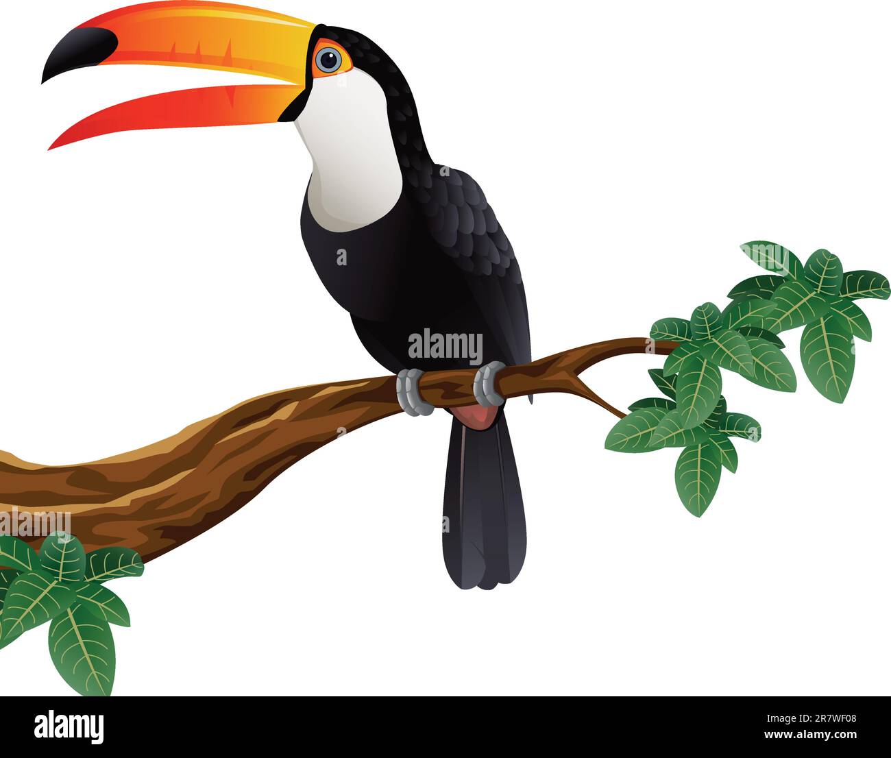 Illustration Toucan Bird Illustration de Vecteur