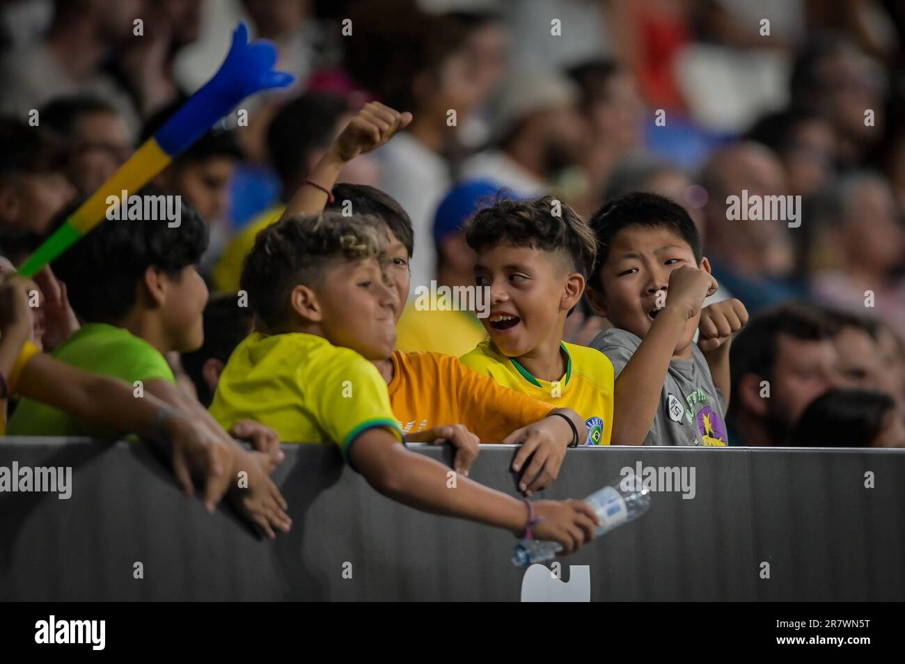 Barcelone, Espagne. 17th juin 2023. Les soutiens brésiliens lors d'un match international fradly entre le Brésil et la Guinée au stade Stage Front, à Barcelone, Espagne sur 17 juin 2023. (Photo/Felipe Mondino) crédit: Agence de photo indépendante/Alamy Live News Banque D'Images