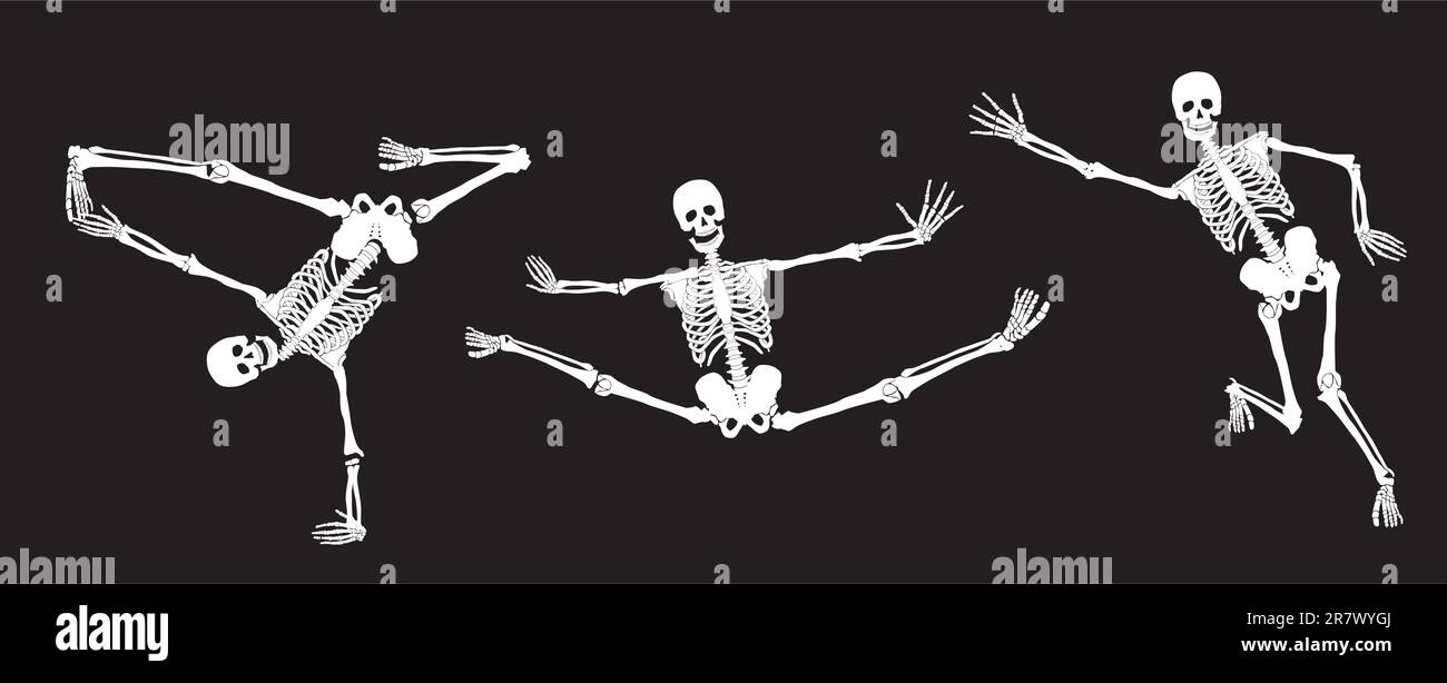 Squelettes blancs actifs sur noir. Ensemble n° 3. Vecteur Illustration de Vecteur