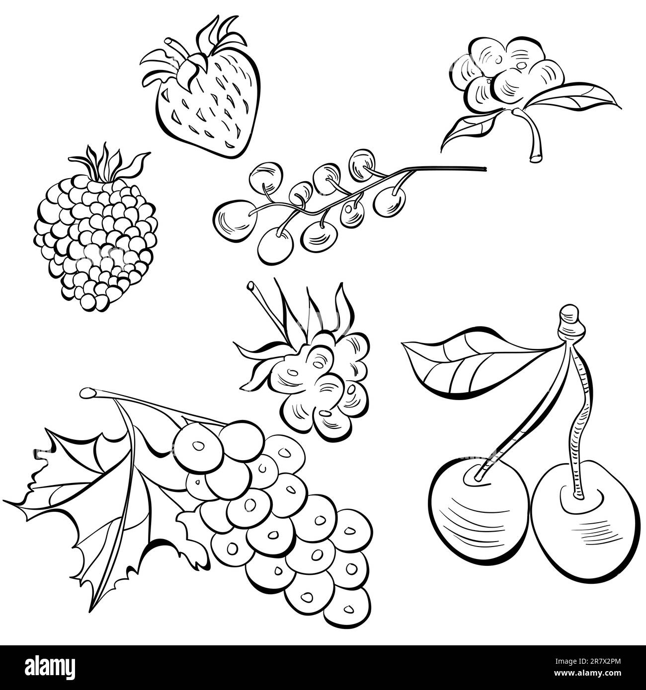 Esquisse de fruit Illustration de Vecteur