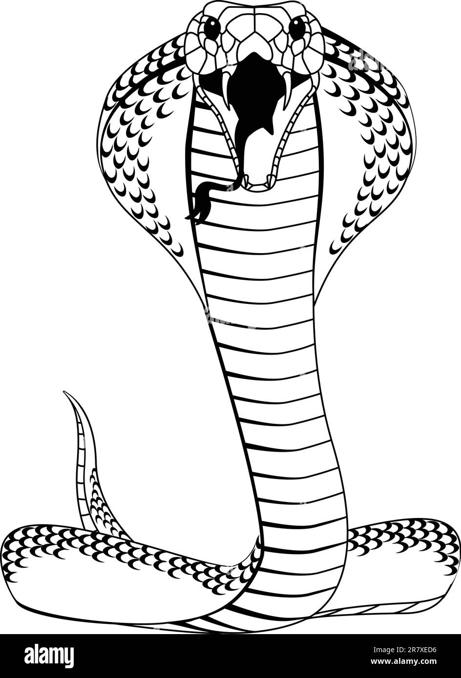 Illustration du tatouage Cobra Illustration de Vecteur