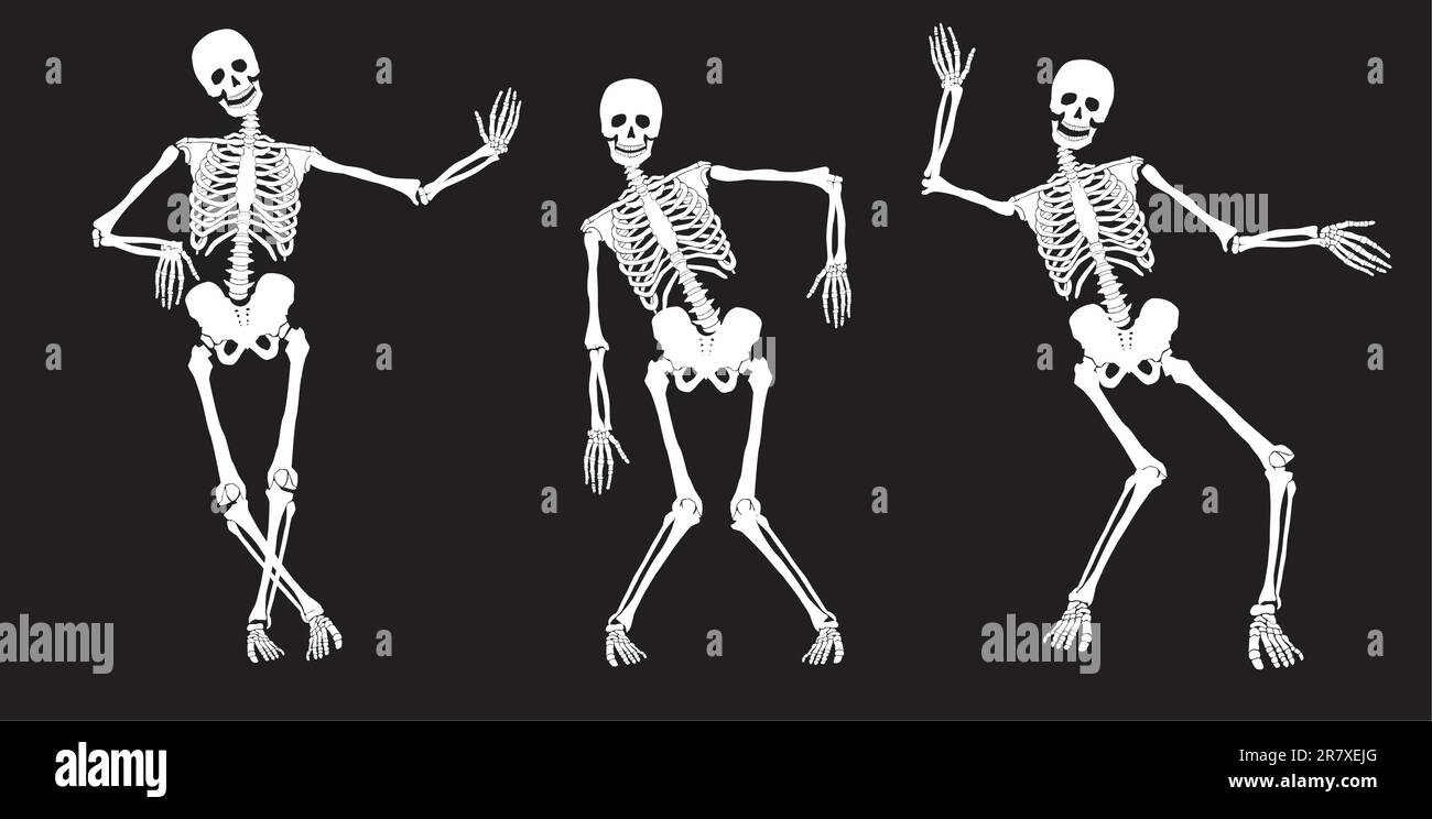 Squelettes blancs ivres sur noir. Ensemble n° 2. Vecteur Illustration de Vecteur