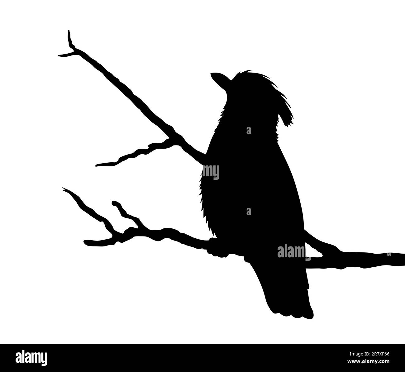 Silhouette d'oiseaux sur fond blanc Illustration de Vecteur