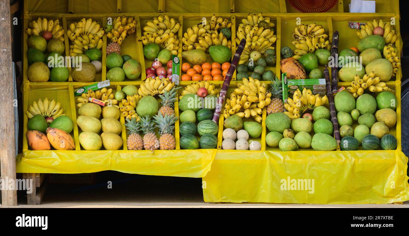 Divers fruits tropicaux sont exposés sur le stand. Banque D'Images
