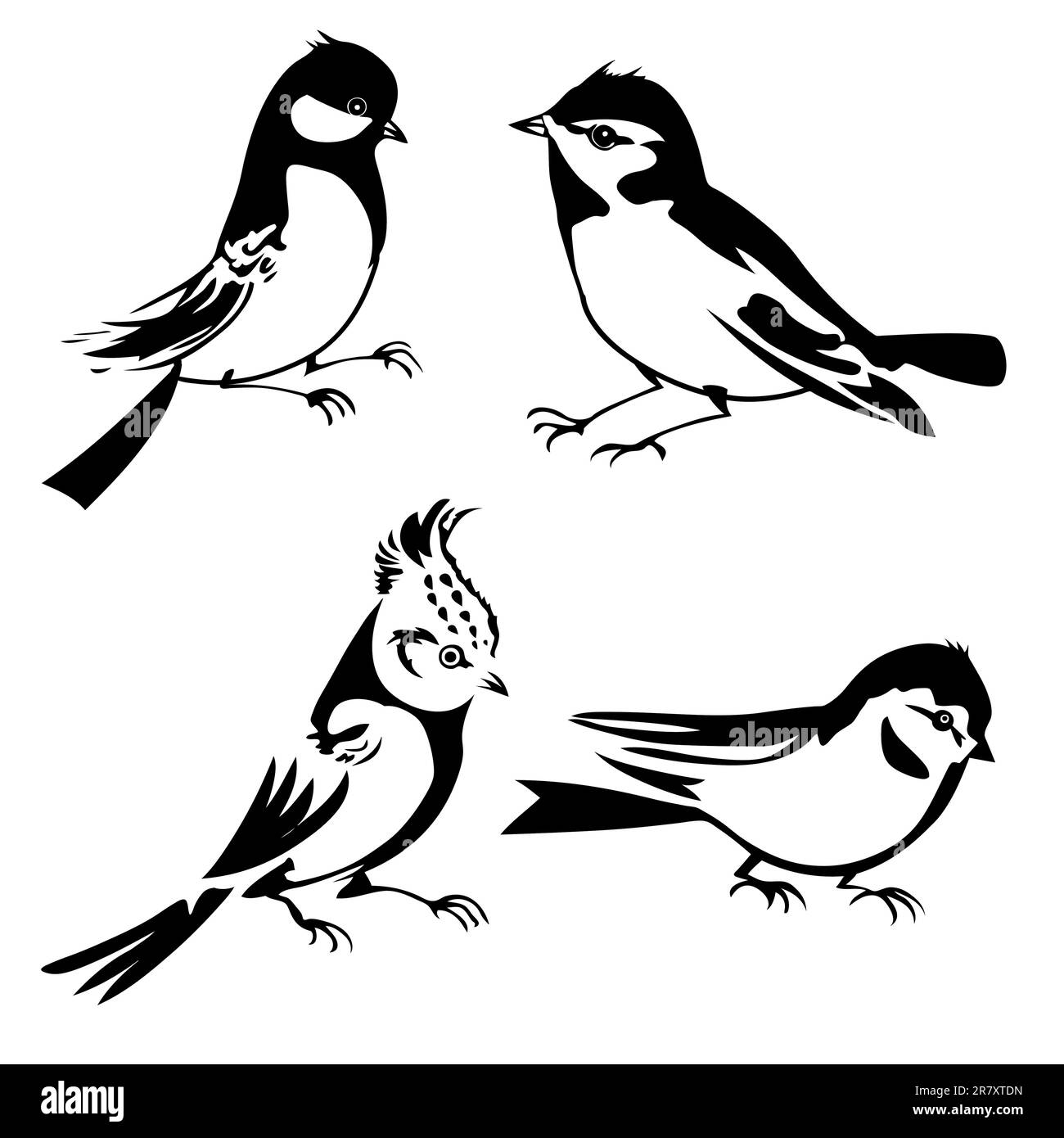 Silhouette d'oiseaux sur fond blanc, vector illustration Illustration de Vecteur