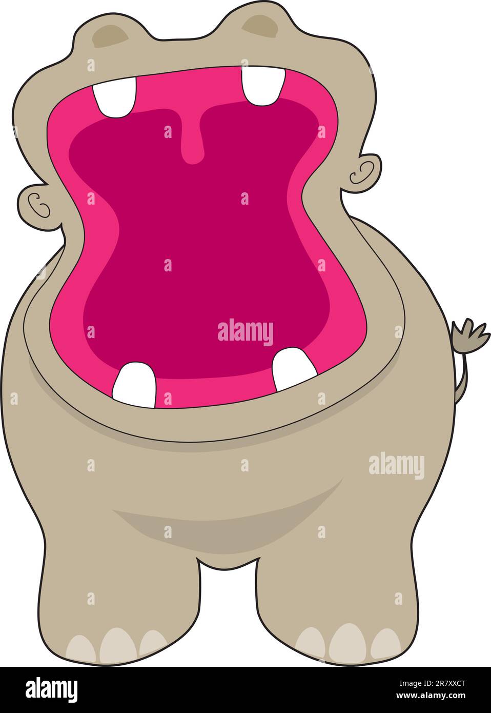 Une vue de face d'un hippopotame, avec sa bouche rouge large ouverte, affichant quatre grands ivoires. Illustration de Vecteur