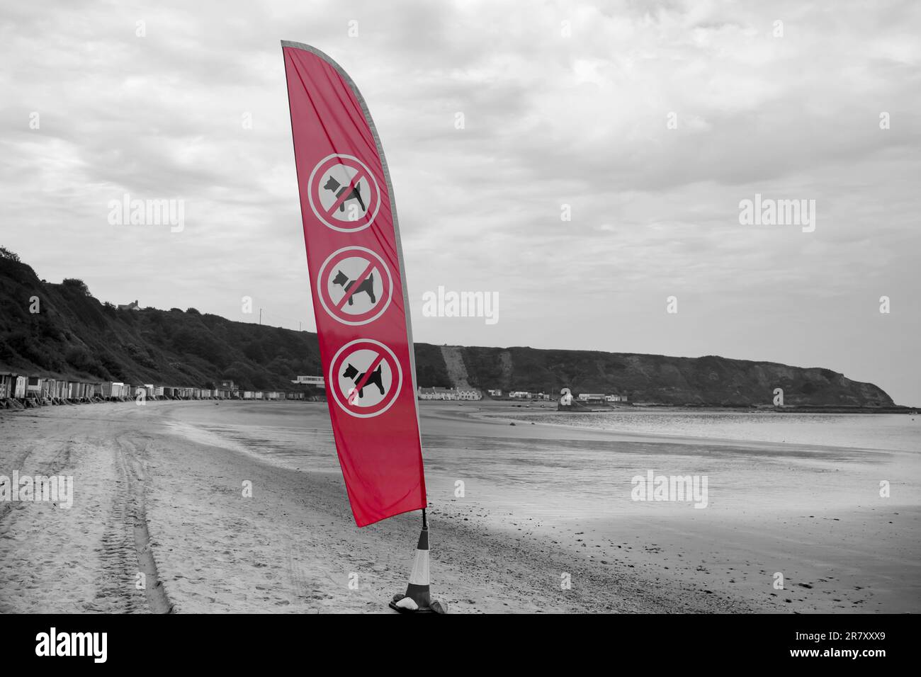 Aucun signe de voile de chiens sur la plage de Morfa Nefyn au pays de Galles. Une partie des restrictions pour les chiens à des périodes limitées de l'année au pays de Galles Banque D'Images