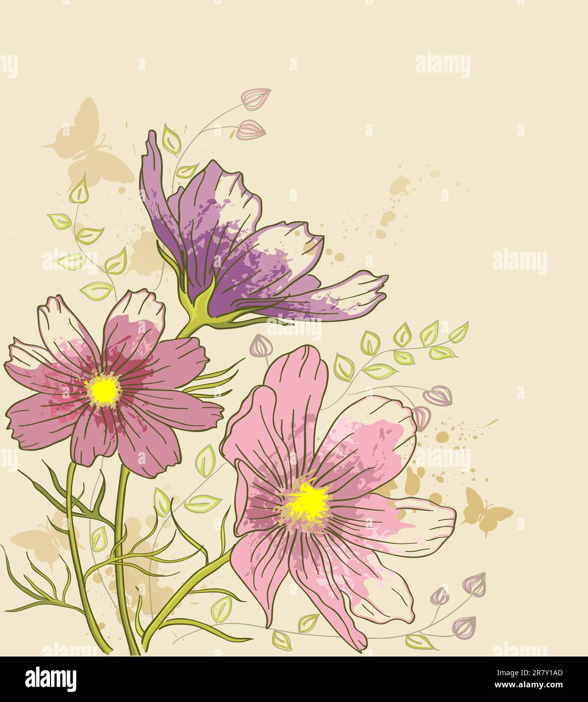 Vecteur de fond floral vintage avec fleurs cosmos Illustration de Vecteur