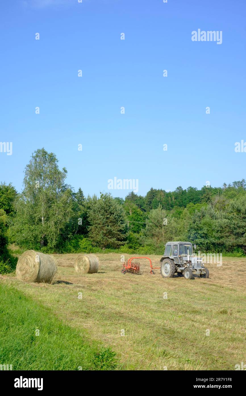 le tracteur assemble et tourne des lignes d'herbe coupée dans le champ, prêt pour la mise en balles du comté de zala en hongrie Banque D'Images