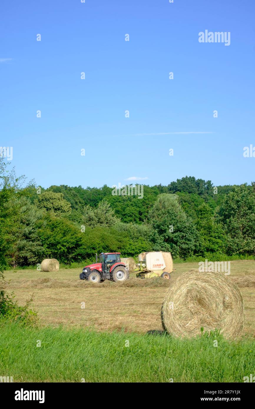 les lignes de mise en balles de tracteurs d'herbe coupée en mosaïque dans le comté de zala en hongrie Banque D'Images