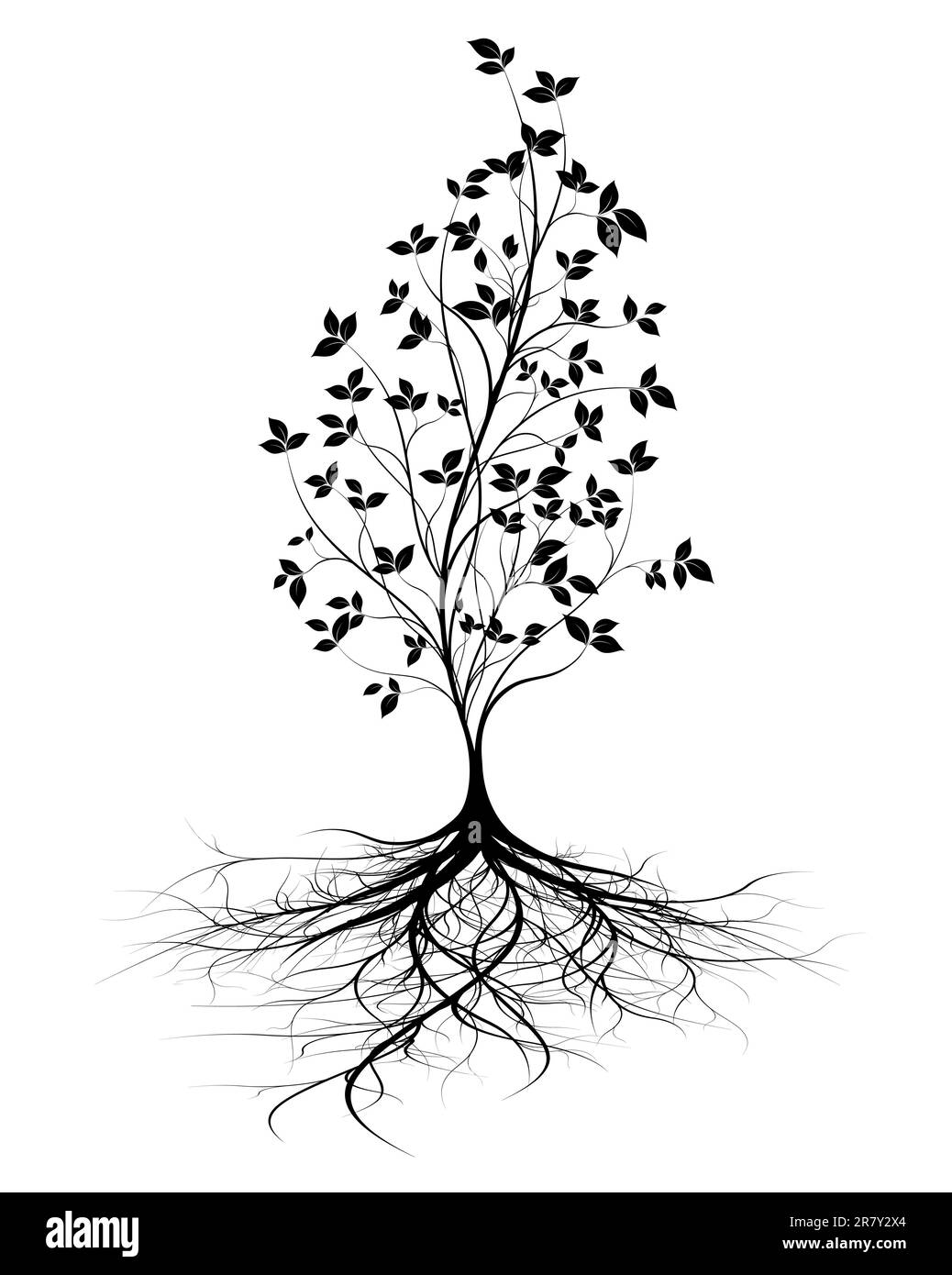 jeune arbre avec racines, fond blanc, silhouette noire avec feuilles, forme vectorielle verticale Illustration de Vecteur