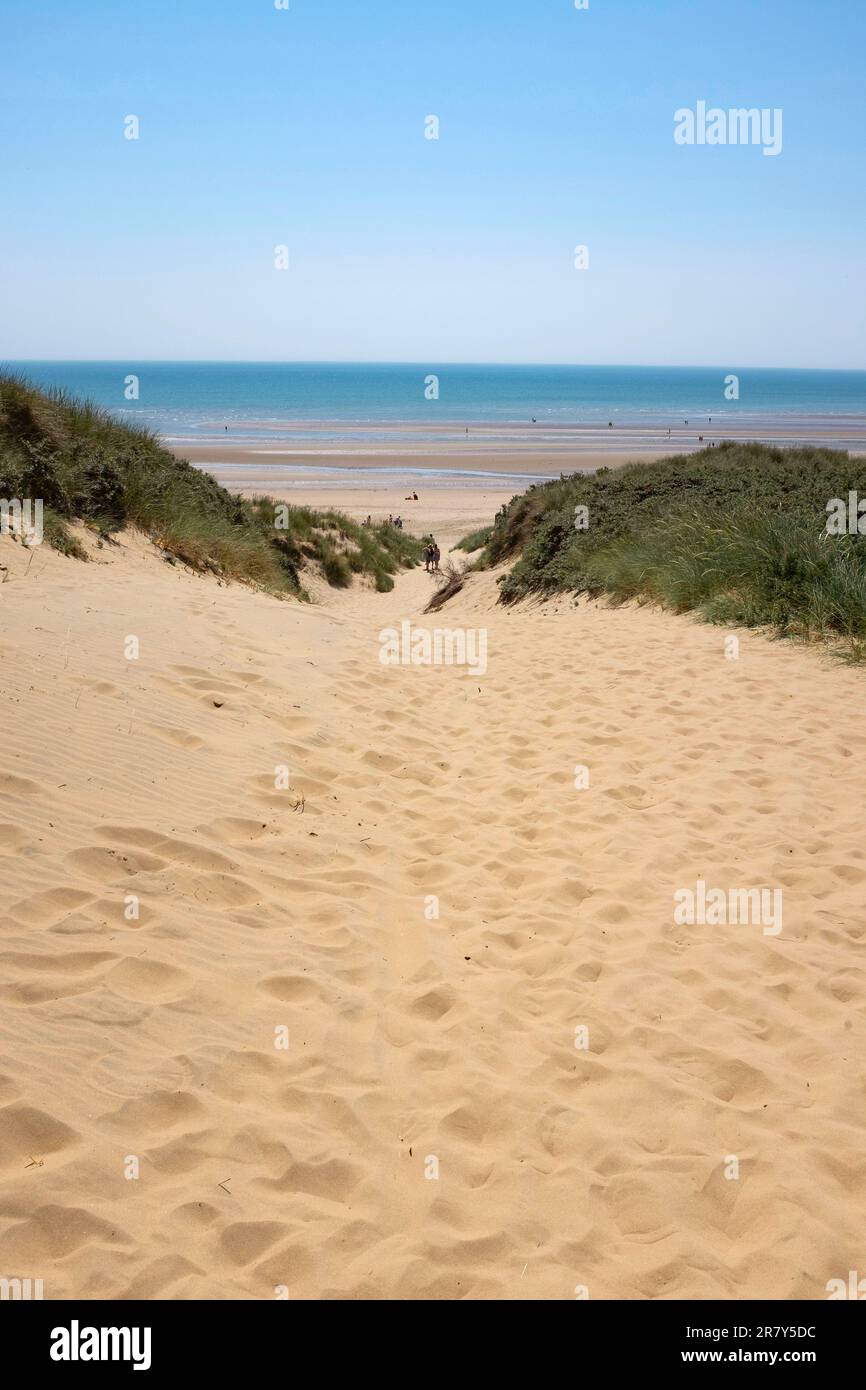 Camber Sands Beach East Sussex , Angleterre , Royaume-Uni - les célèbres belles plages pittoresques sur une chaude journée d'été ensoleillée le long de la côte sud crédit Simon Dack Banque D'Images