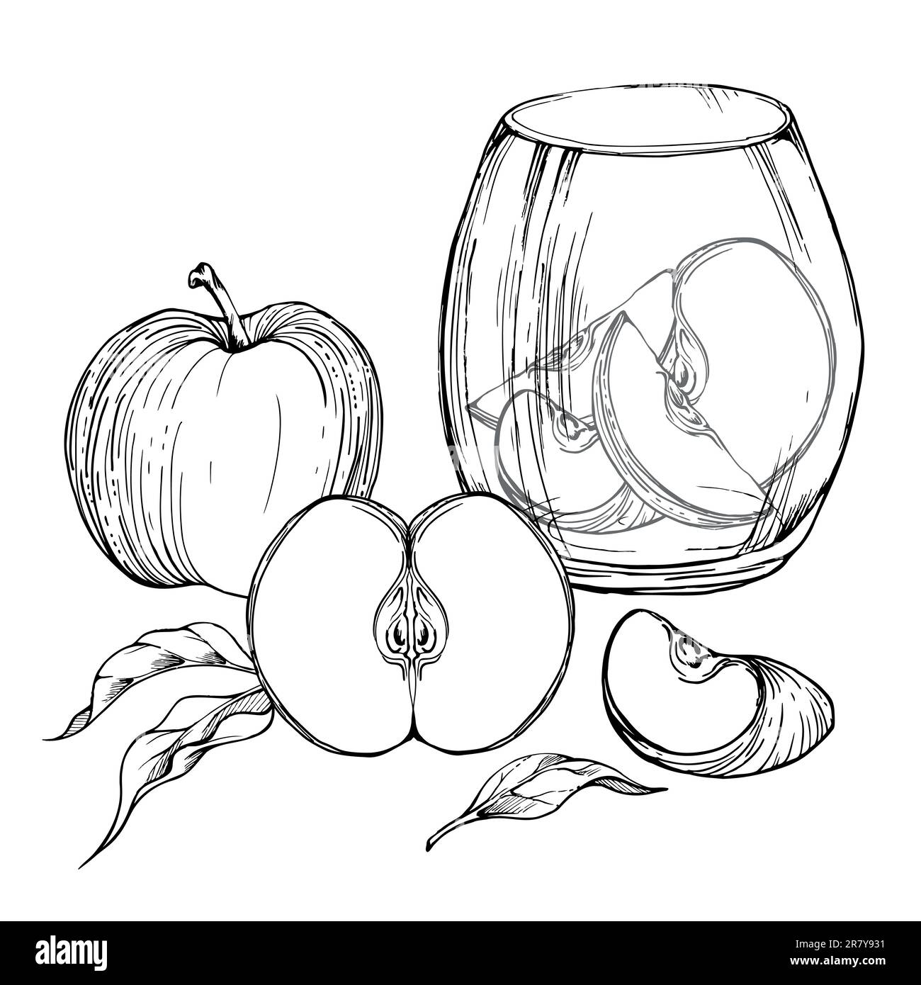 Composition d'encre tirée à la main avec des fruits de pomme sur plaque de céramique, pleine et des tranches, avec des feuilles et des graines. Isolé sur fond blanc. Design pour mur Illustration de Vecteur