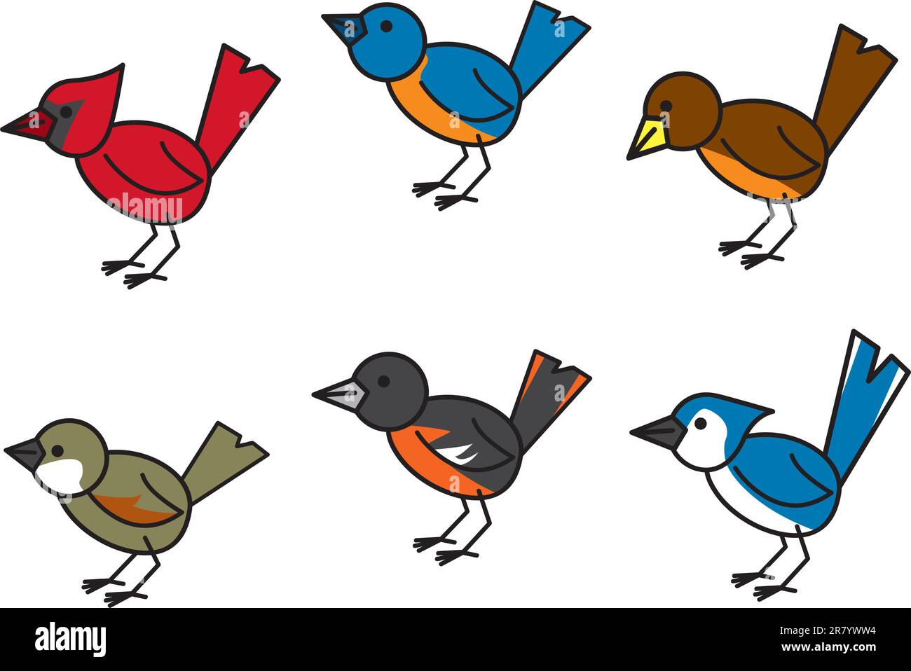 Six oiseaux communs et populaires trouvés dans les zones résidentielles nord-américaines. Illustration de Vecteur