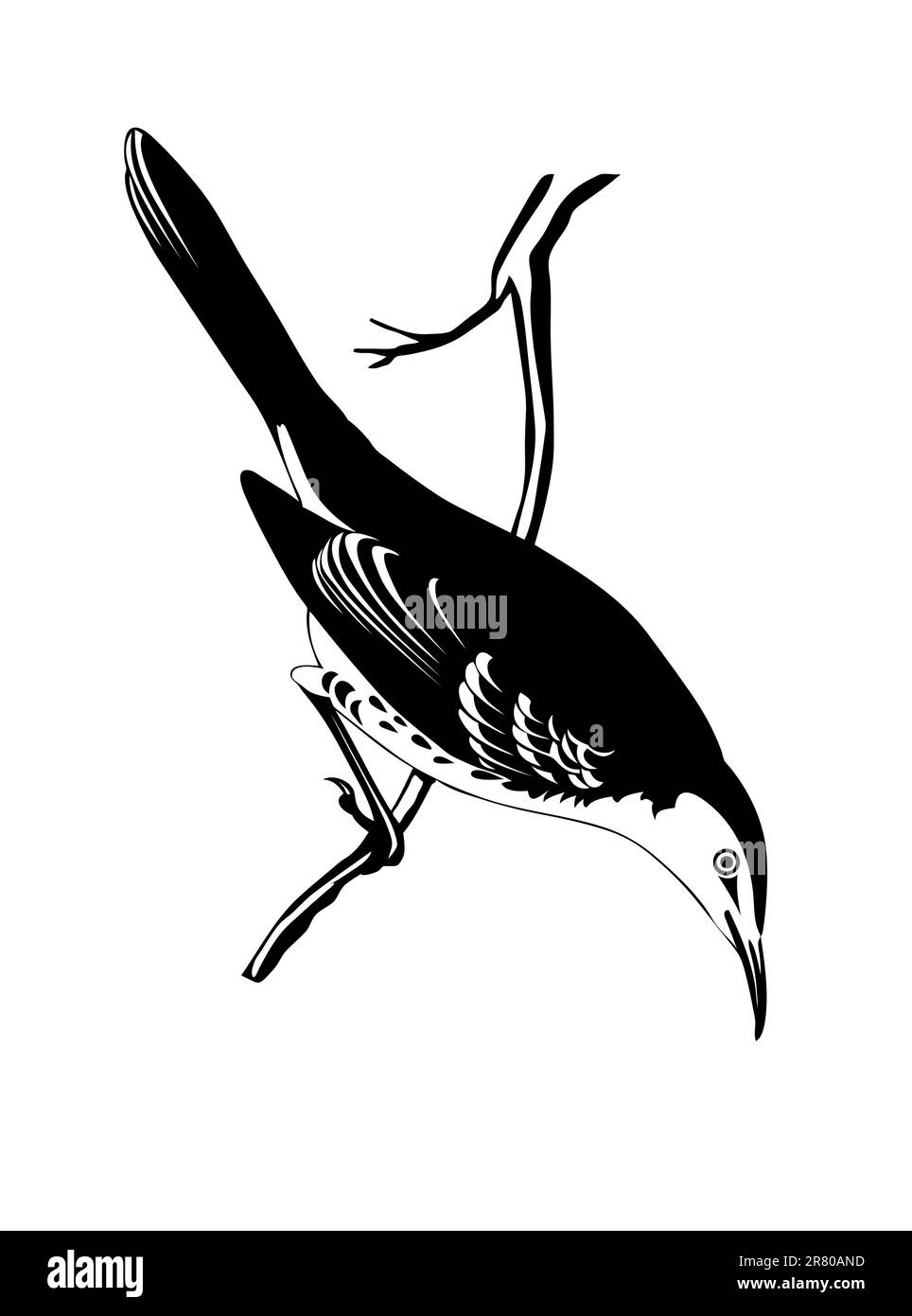 silhouette de fard à joues sur fond blanc, illustration vectorielle Illustration de Vecteur