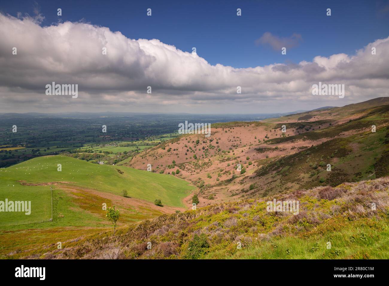 Vue sur la chaîne de montagnes de Clwydian sous le soleil d'été, au nord du pays de Galles Banque D'Images