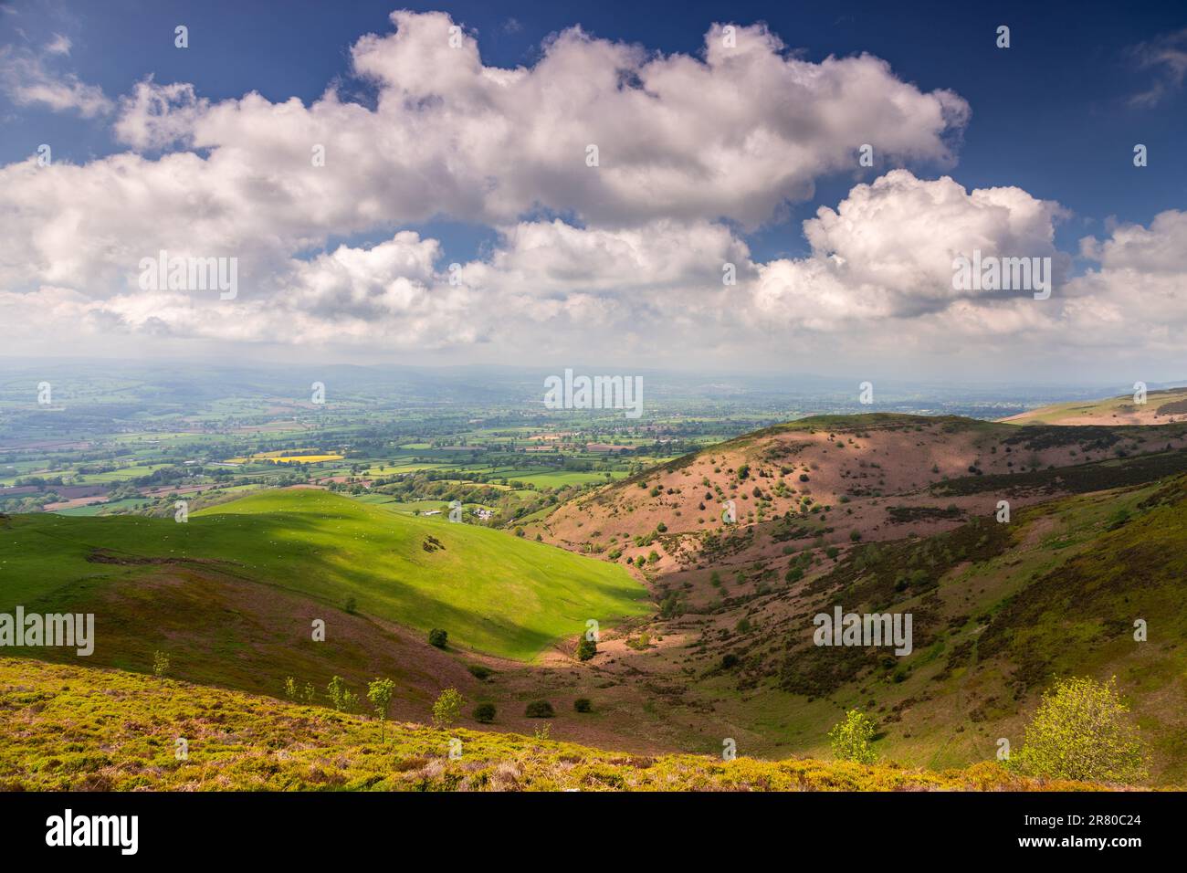 Vue sur la chaîne de montagnes de Clwydian sous le soleil d'été, au nord du pays de Galles Banque D'Images