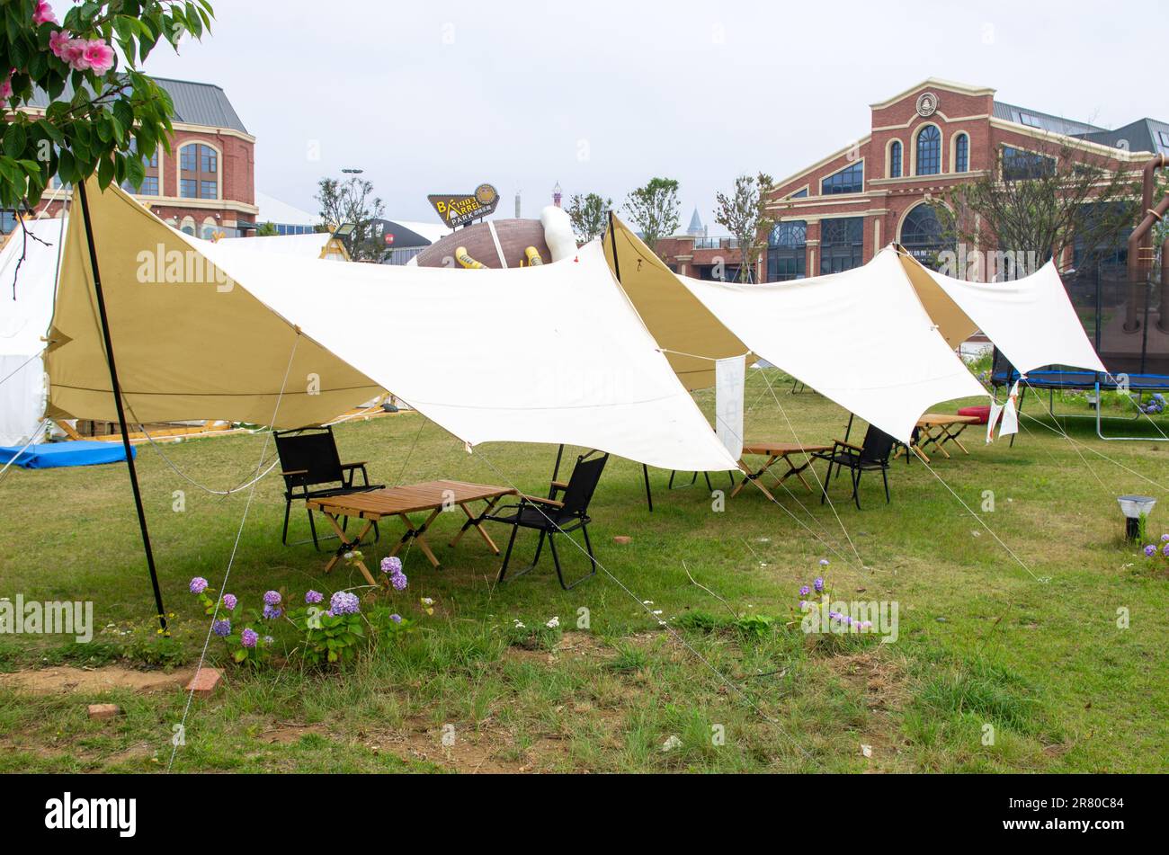 Diverses tentes de champ sur pelouse verte dans la zone de camping au parc Banque D'Images