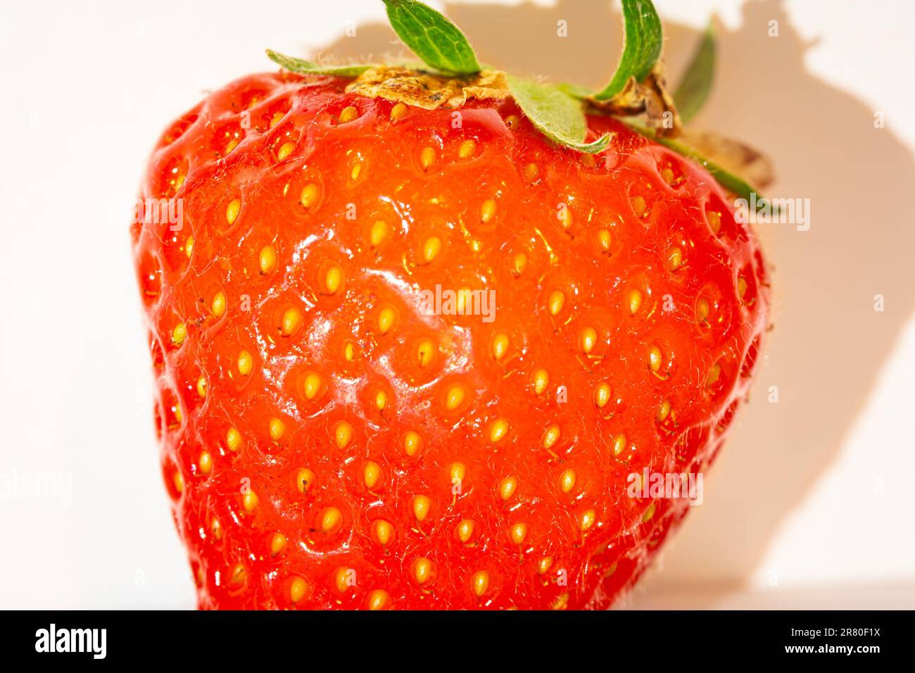 Macro image d'une fraise de jardin Banque D'Images