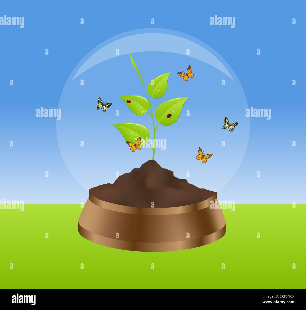 Plante verte, papillons et coccinelles en boule de verre. Illustration vectorielle. Illustration de Vecteur