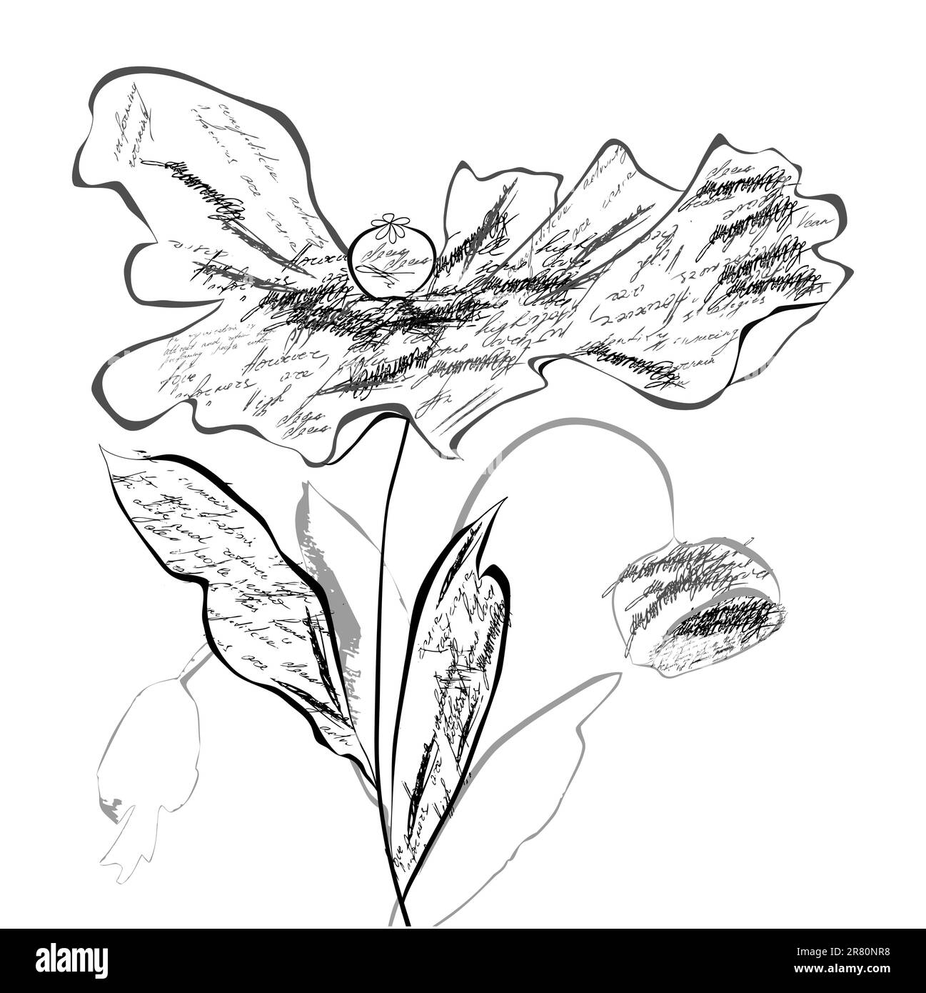 Illustration stylisée de fleurs de pavot Illustration de Vecteur