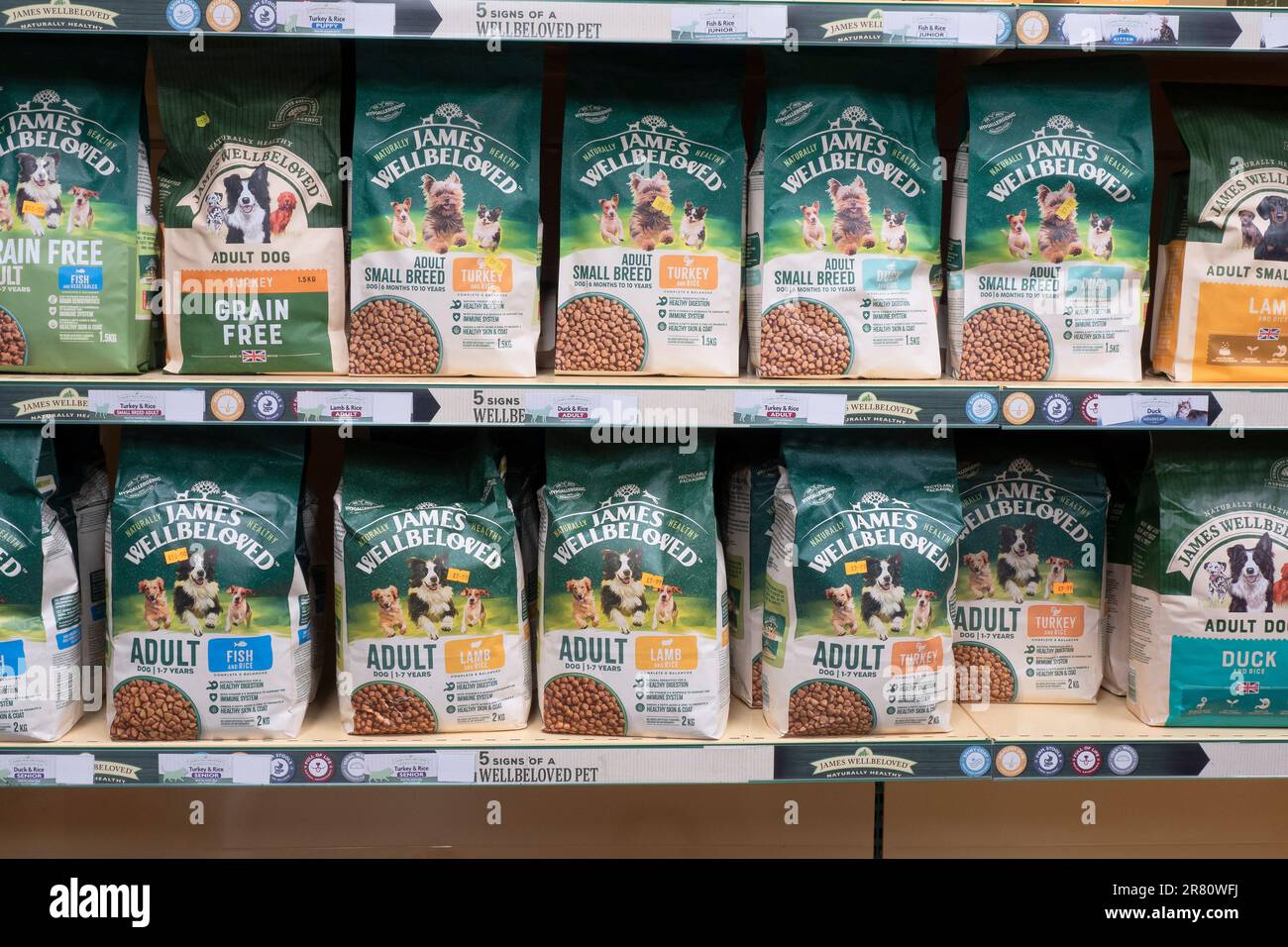 James Wellwaideaid Dog Food Afficher plusieurs types pour différentes tailles de chien Banque D'Images James Wellwaideaid Dog Food Afficher plusieurs types pour différentes tailles de chien Banque D'Images