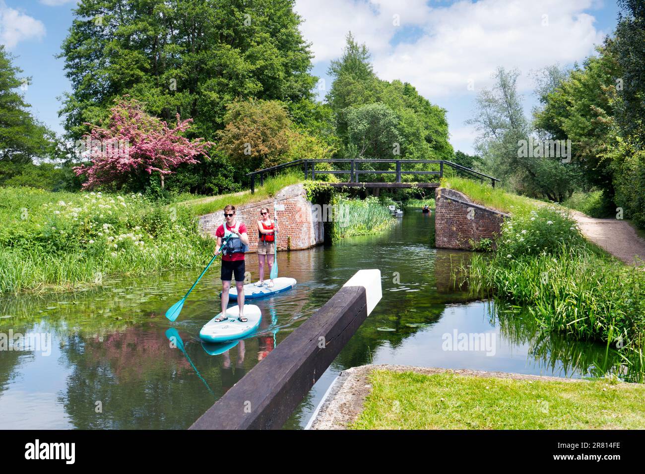 Paddle Boarders naviguant en ruisseau à travers Walsham Lock Gates sur la rivière Wey, un printemps/été calme soleil jour Surrey Royaume-Uni Banque D'Images