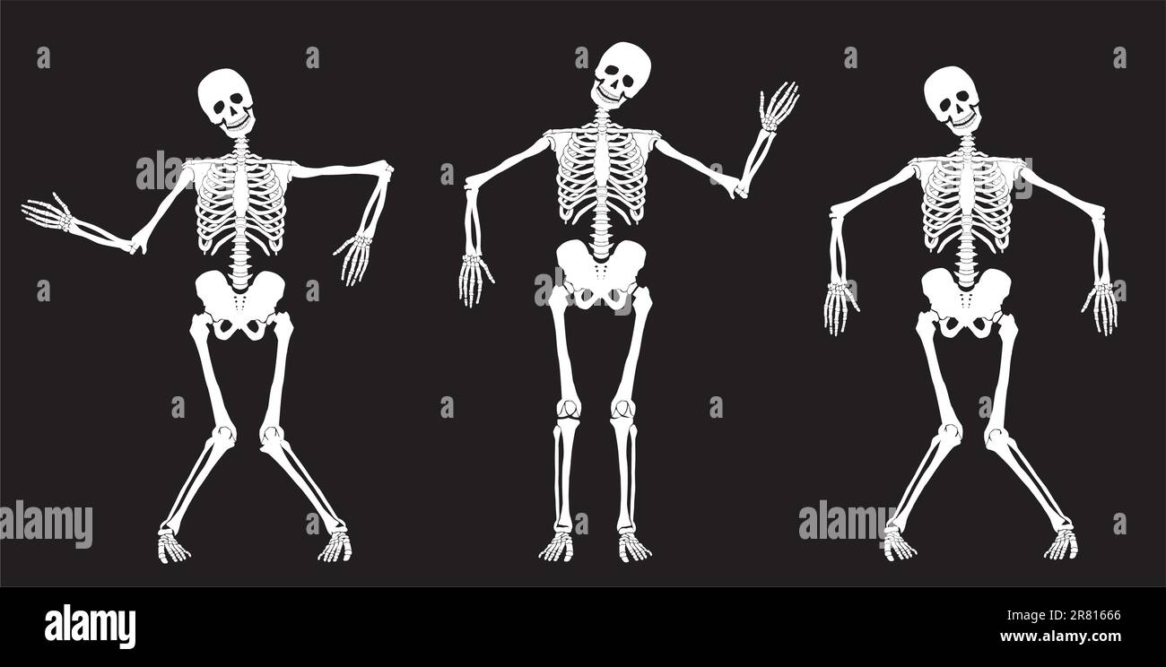 Squelettes de danse blanche sur noir. Ensemble n° 1. Vecteur Illustration de Vecteur