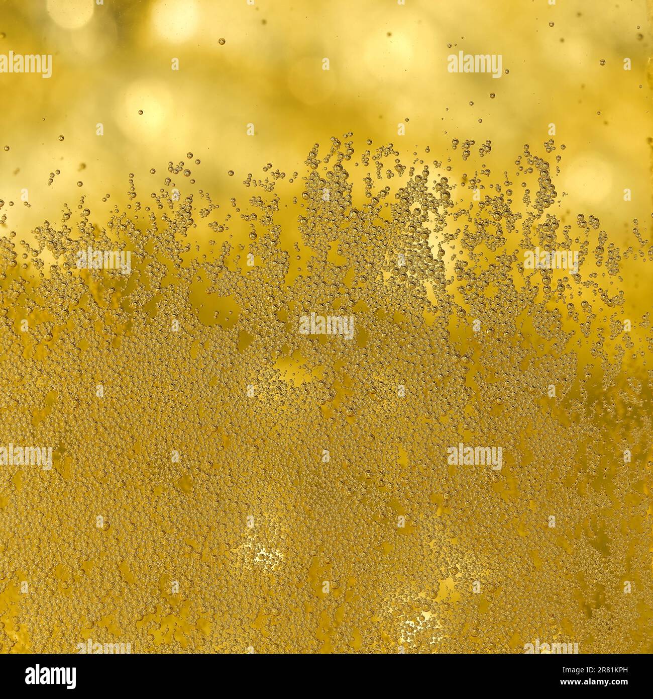 Bière. Bière légère avec bulles et fond de mousse Banque D'Images