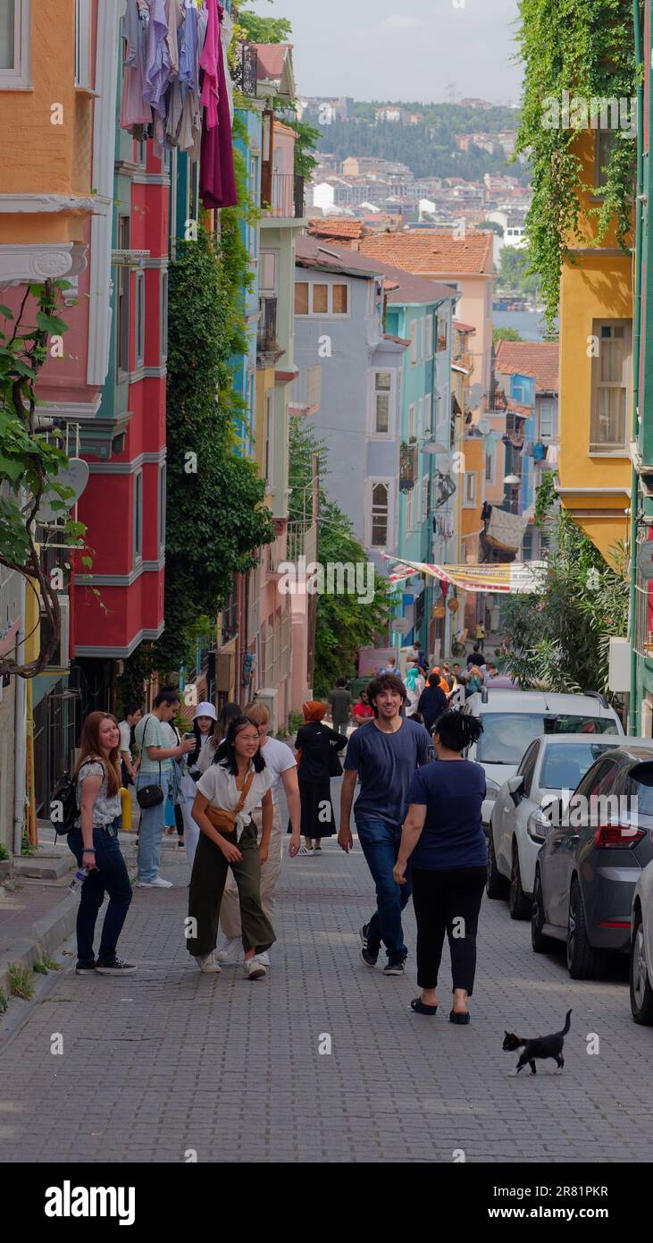 Groupe d'amis dans une rue plus un chat dans le quartier historique et coloré de Balat dans le quartier Fatih d'Istanbul, Turquie Banque D'Images