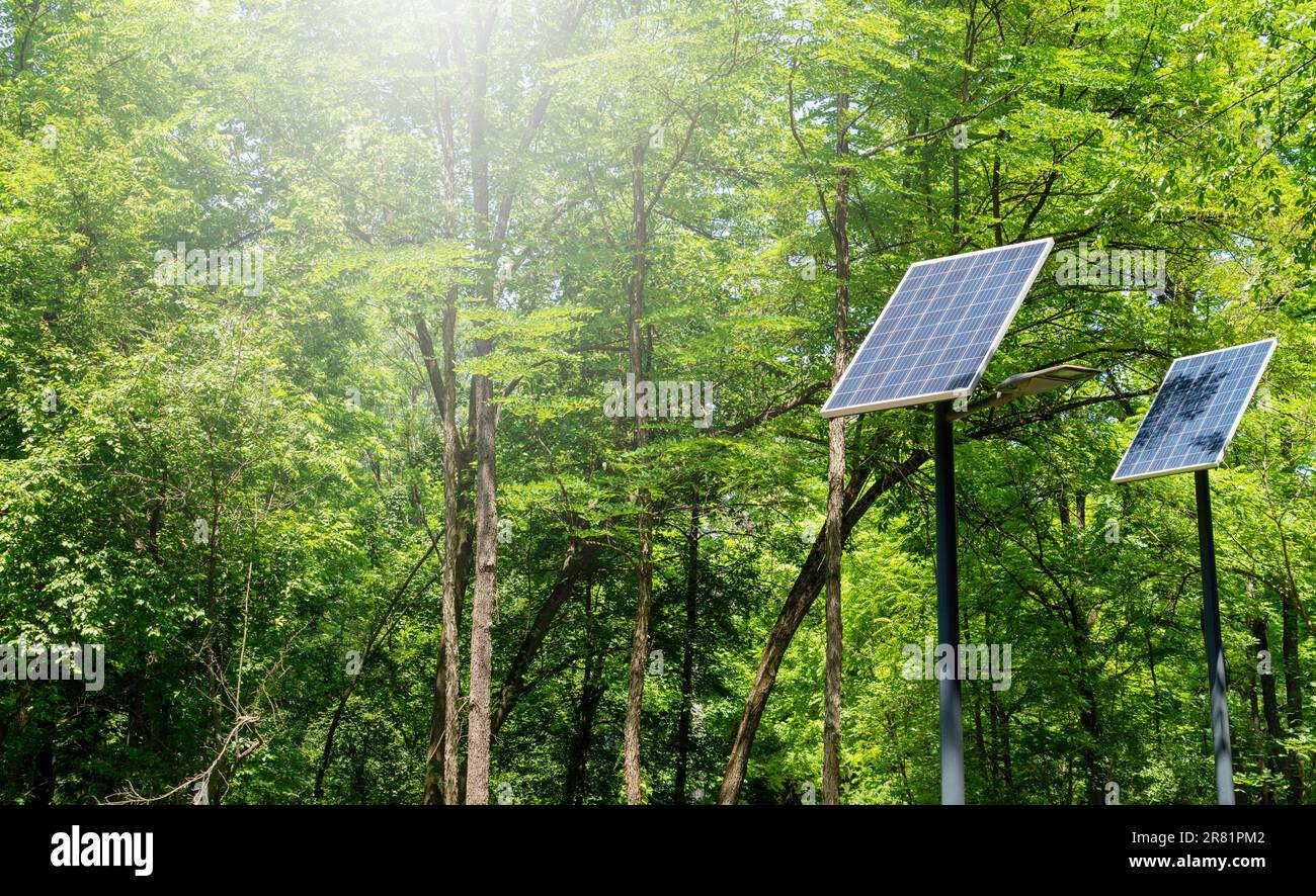 Panneaux solaires à technologie verte sur fond d'arbres verts. Banque D'Images
