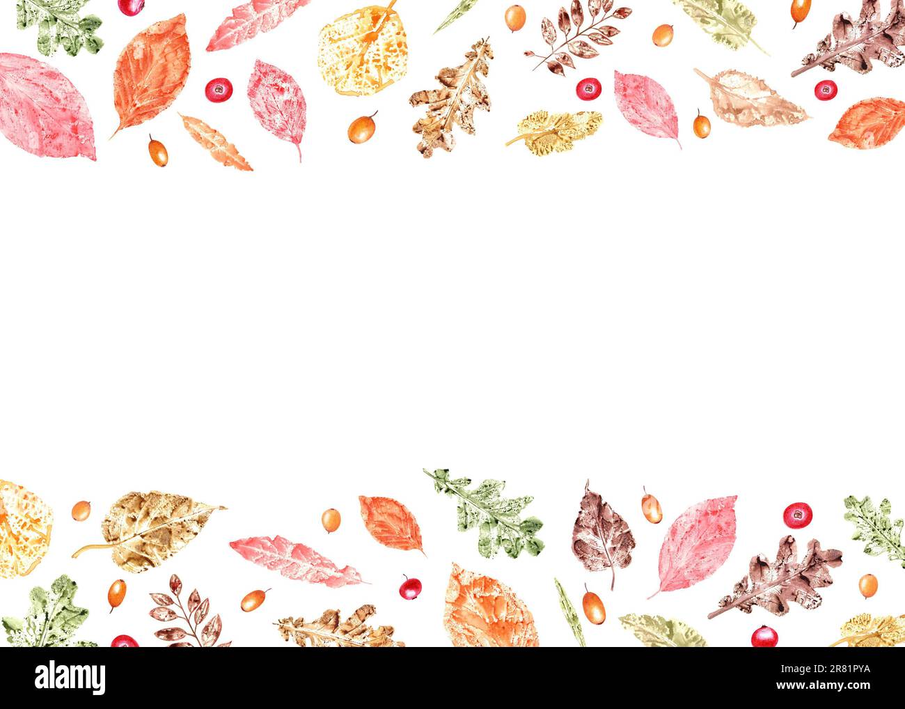 Cadre horizontal de feuilles d'automne colorées empreintes, argousier, myrtilles rouges isolées sur fond blanc. Illustration aquarelle Banque D'Images