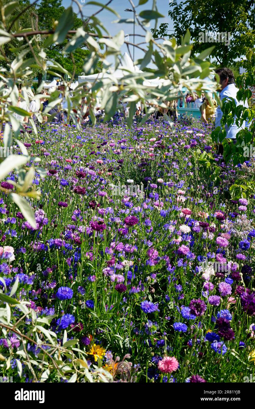 BBC Gardeners' World, NEC Birmingham Banque D'Images