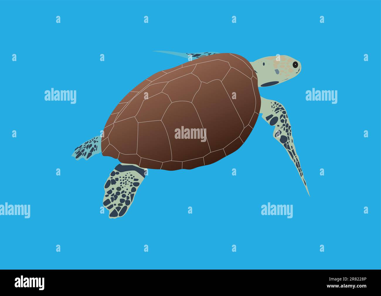 Une tortue de mer de Hawksbill naquant en eau libre Illustration de Vecteur