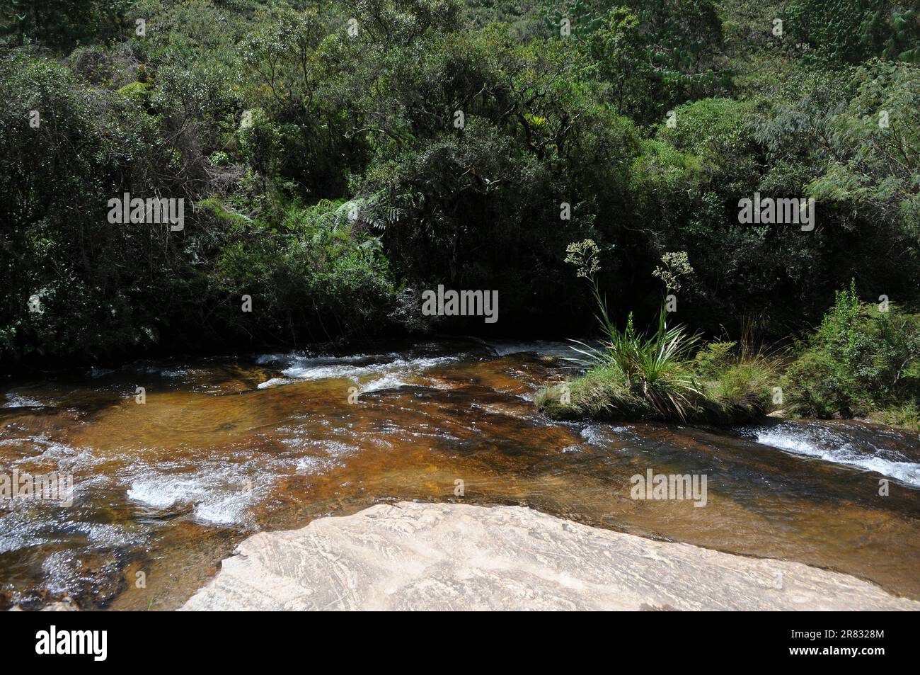 Cascade de Santo Izidro, située dans le parc national de Serra da Bocaina, dans l'État de São Paulo, au Brésil Banque D'Images