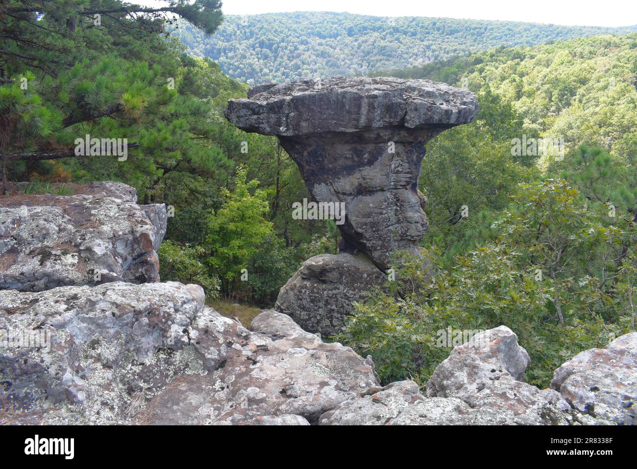 Vue sur l'un des rochers du piédestal dans la zone panoramique des rochers du piédestal, Pessor, Sand Gap, Witts Spring, Arkansas, Forêt nationale Ozark-St Francis Banque D'Images