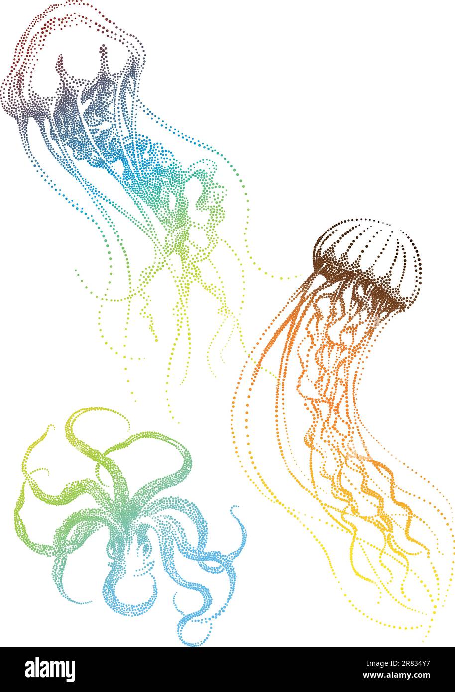 méduses et poulpes colorés, illustration vectorielle Illustration de Vecteur