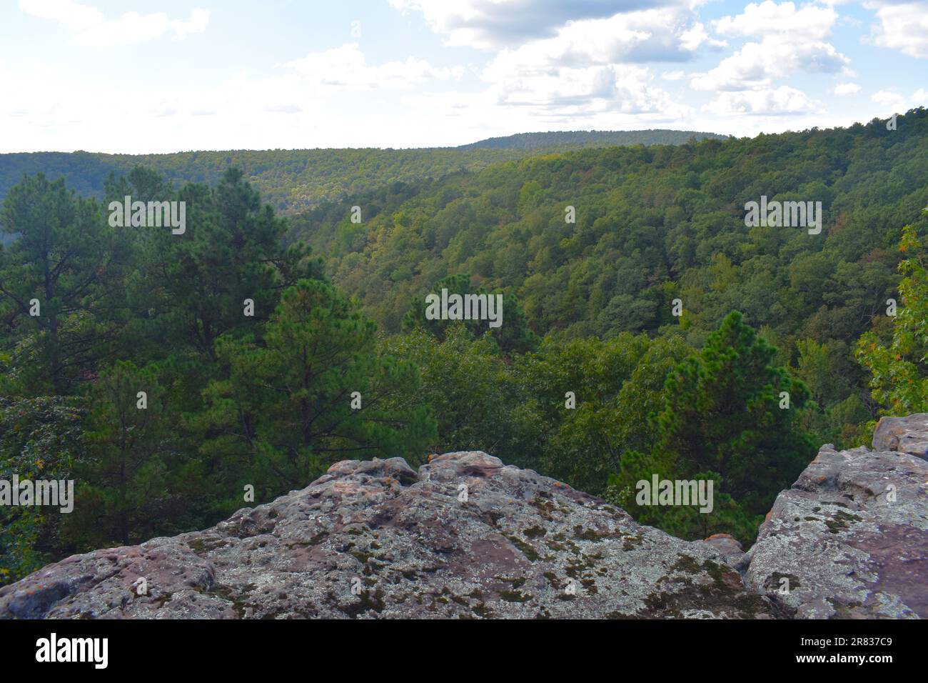 Quelques-unes des falaises, falaises, vues pittoresques, à Pedestal Rocks, Pelsor, Sand Gap, Witts Springs, Arkansas, Ozark-St Francis National Forest Banque D'Images
