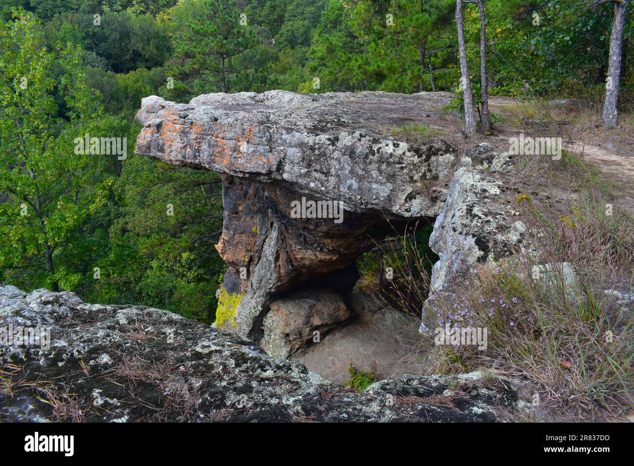 Quelques-unes des falaises, falaises, vues pittoresques, à Pedestal Rocks, Pelsor, Sand Gap, Witts Springs, Arkansas, Ozark-St Francis National Forest Banque D'Images