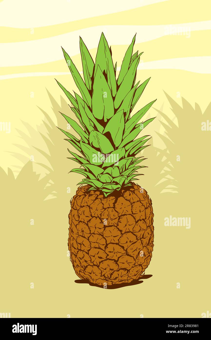 Illustration haute détaillée d'un ananas Illustration de Vecteur