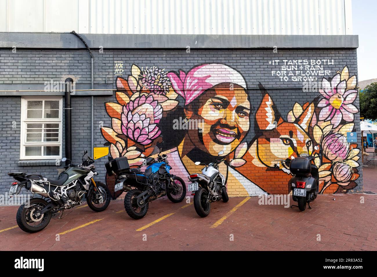 Fresque d'art - 'Auntie, Tietie, Mummy' - par l'artiste visuelle Nardstar dans le V&A Waterfront - Cape Town, Afrique du Sud Banque D'Images
