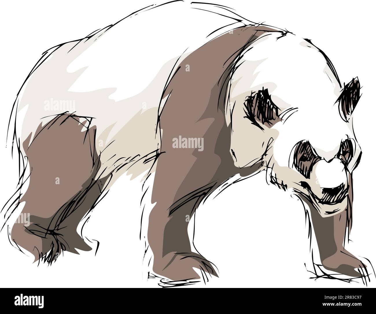 dessiné un panda Illustration de Vecteur