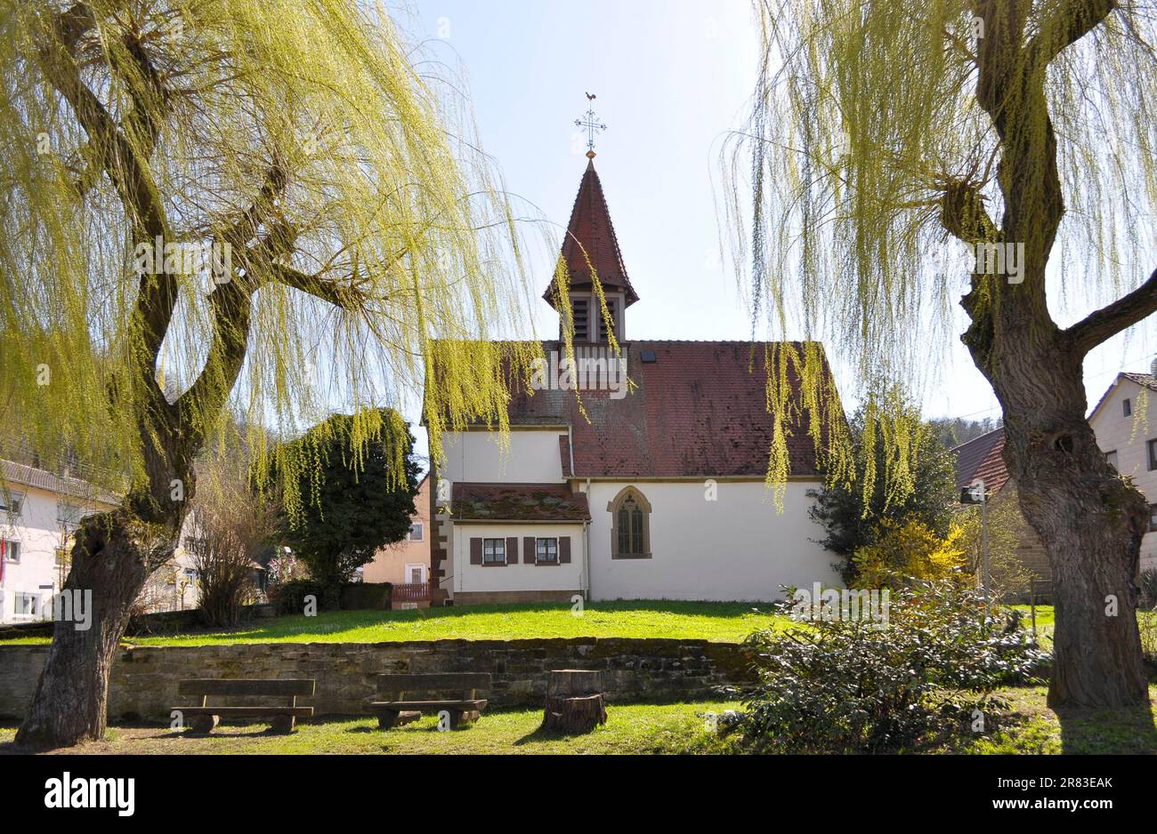 Église à Hohenklingen, pousses fraîches de saule pleureux (Salix babylonica) au printemps, vent fort, saule pleureux Banque D'Images