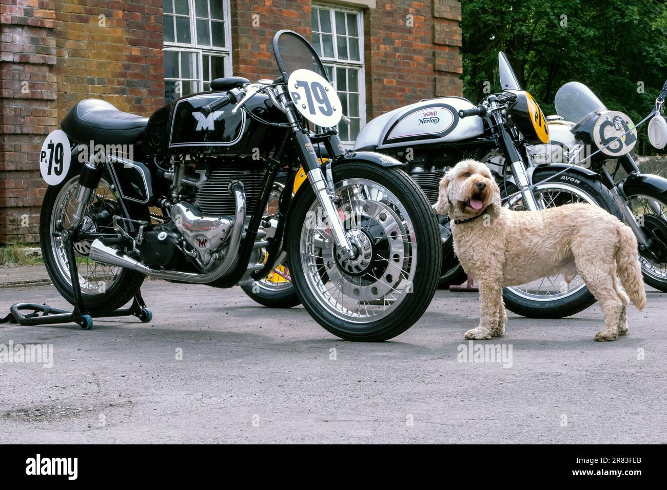 Moto de course classique sans match à l'épreuve de volant à Bicester Heritage 2023 Banque D'Images