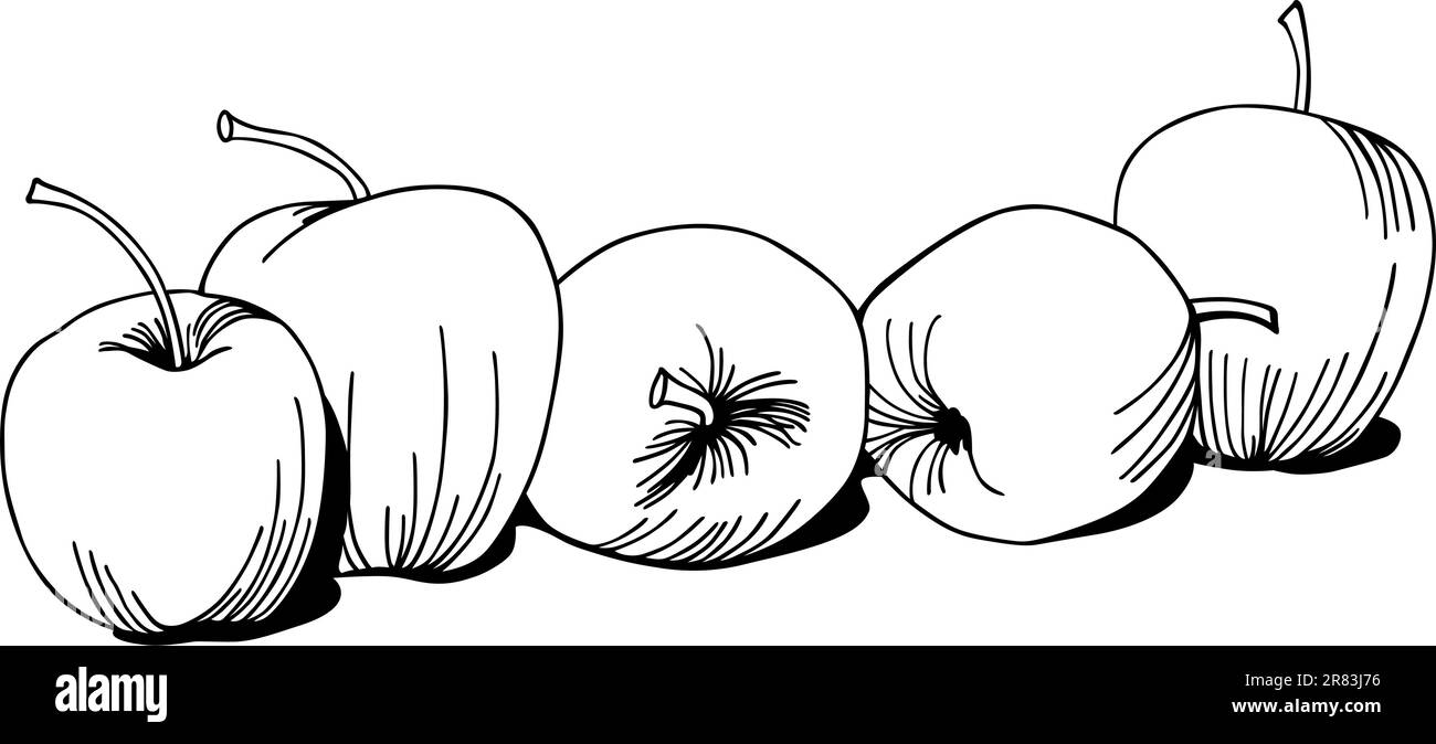 Quelques pommes mûres sur fond blanc Illustration de Vecteur